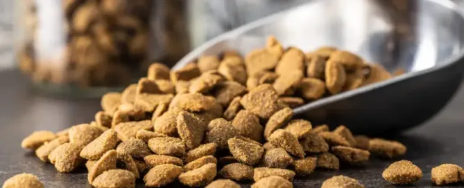 Croquettes dans une pelle à croquettes en inox