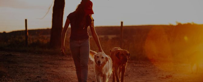 Femme avec ses chiens, au soleil couchant