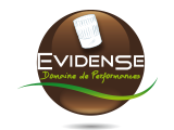logo-evidense